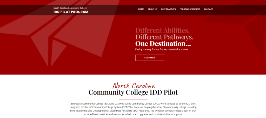 Screenshot of IDD Pilot Project Website (www.iddresourcenc.org)